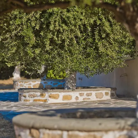 Olive Studios Karpathos Studio #4 Exterior photo