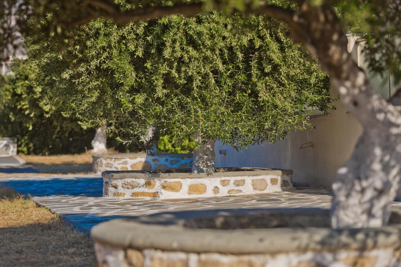 Apartment Olive #4 Karpathos Town (Pigadia)