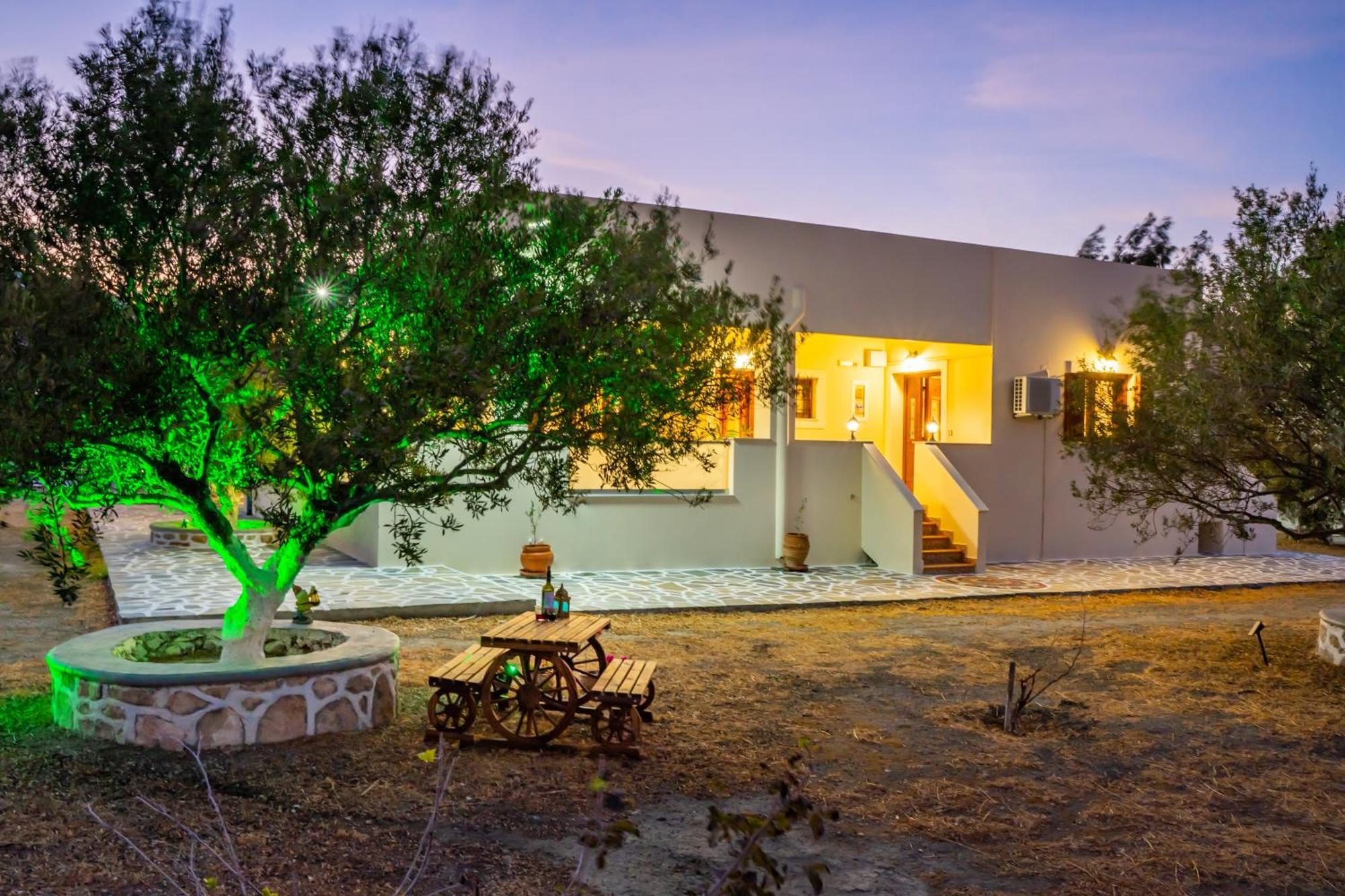Olive #4 Karpathos Town (Pigadia)