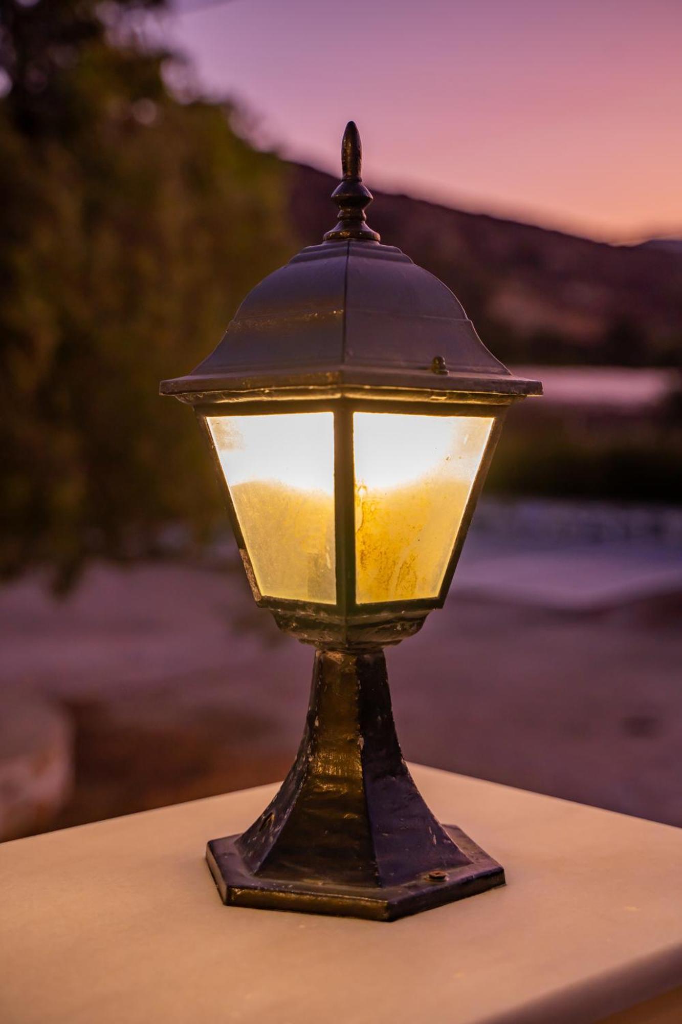 Olive #4 * Karpathos Town (Pigadia)